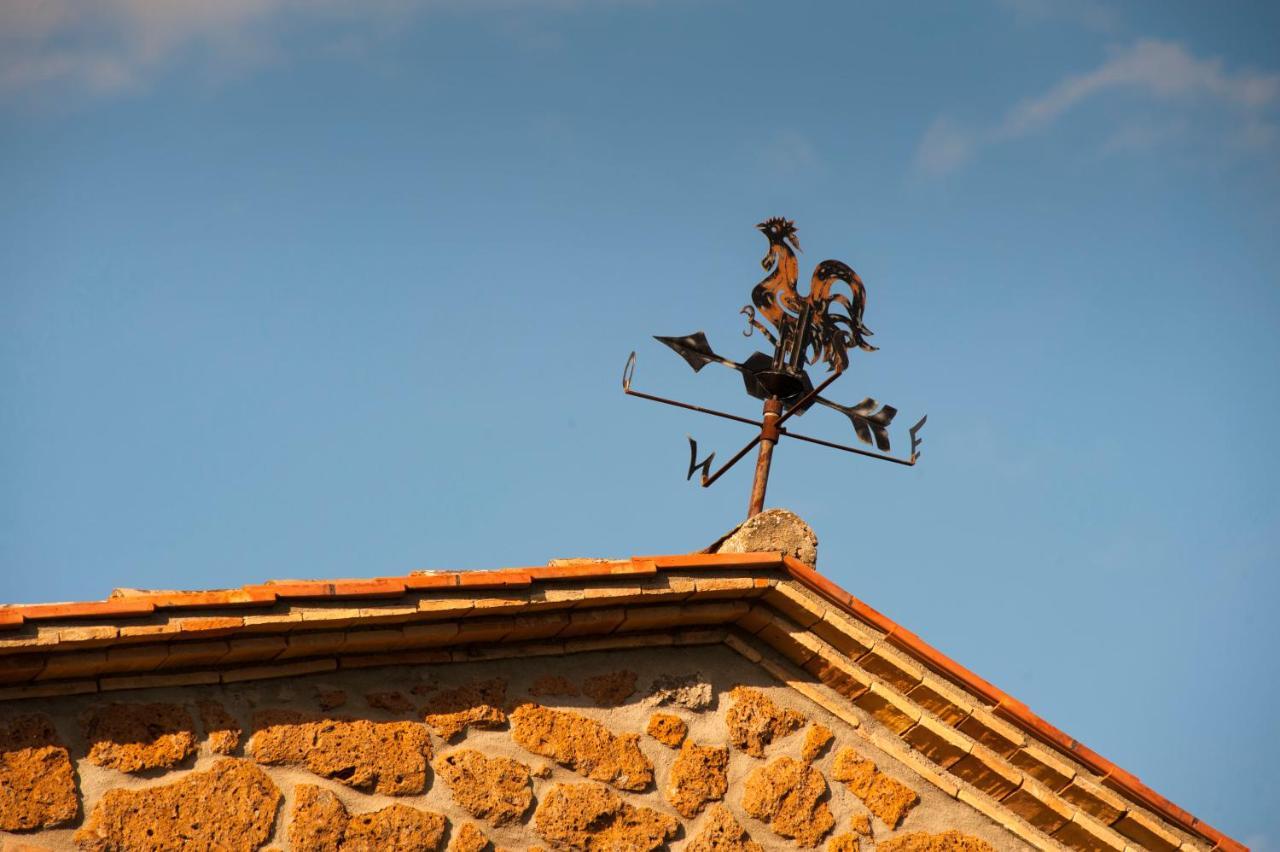 Agriturismo Cerqueto Acquapendente Dış mekan fotoğraf
