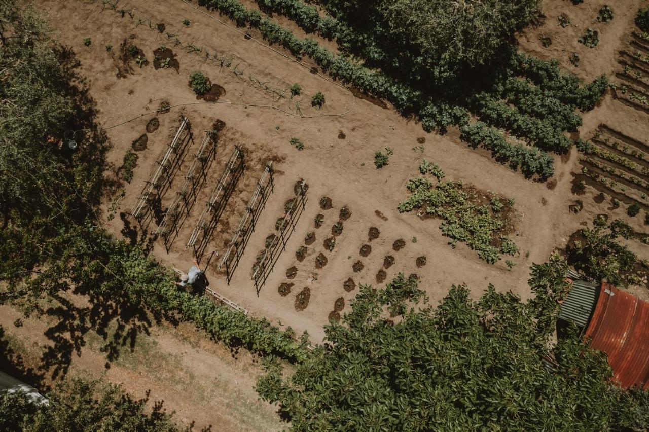 Agriturismo Cerqueto Acquapendente Dış mekan fotoğraf